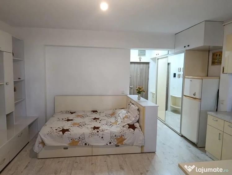 Brancoveanu luica sud park city - 3