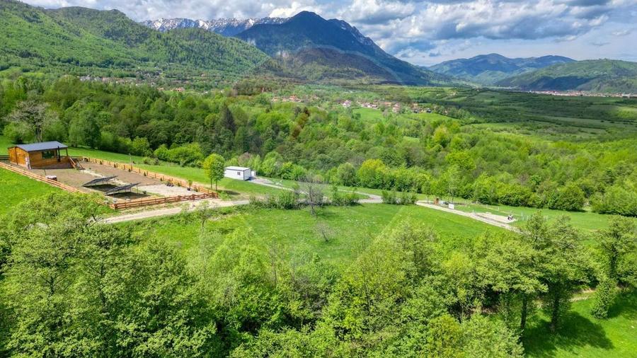 Teren Construcții intravilan de 500 mp, în Tohănița