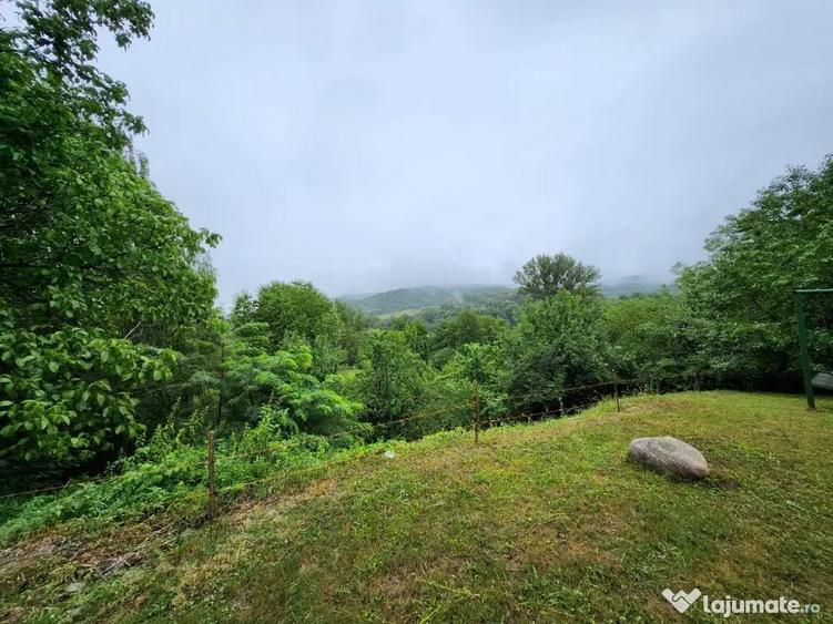 Evadare intr-un Paradis Privat: Proprietate Unica in Valenii de Munte - 7