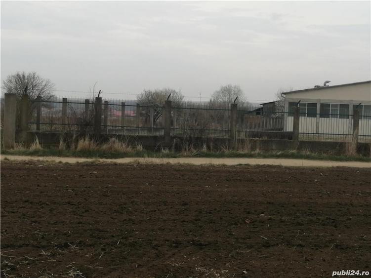 Teren de 8800 mp, în Vinerea