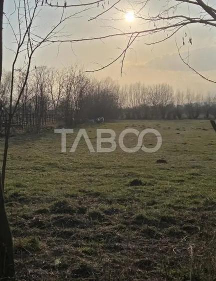 Teren de 540 mp, în Central