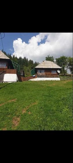 Teren de 60000 mp, în Vadu Moților