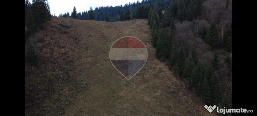 Teren în Rusca