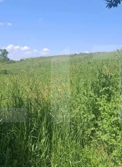 Teren agricol extravilan de 4500 mp, în Tudora