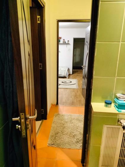 Apartament cu 2 camere semidecomandat în Rovine