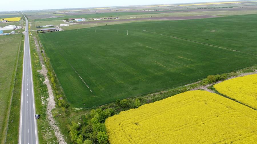 Teren Construcții intravilan de 466.98498535156 mp, în Becicherecu Mic