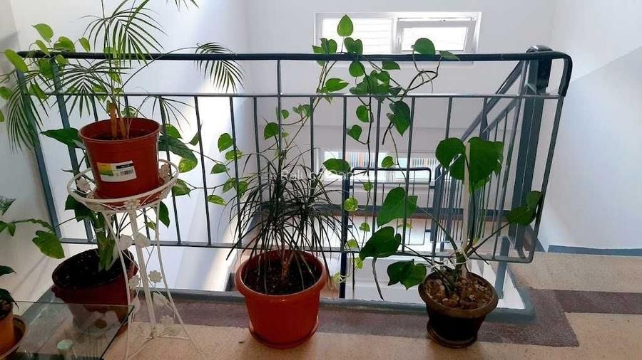 Inchiriez locuinta in centrul Brasovului, zona Filaromonicii