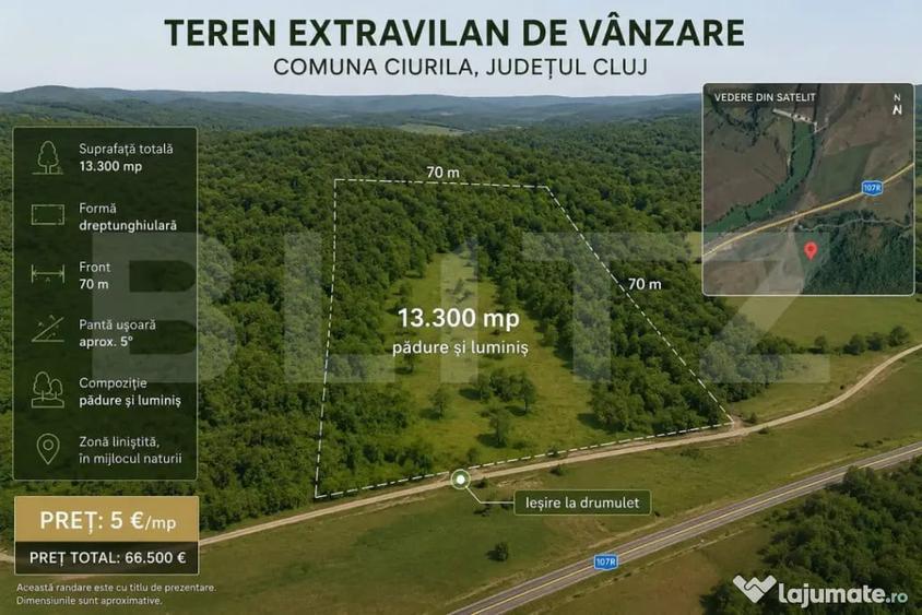 Teren extravilan, 13.300 mp in Ciurila | Forma dreptunghiu - 1