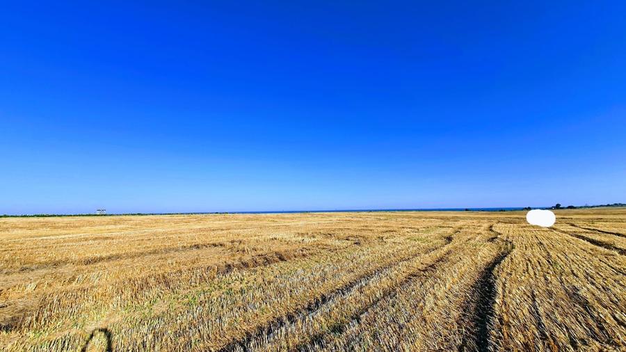 Teren 816 mp la Plaja Pescăruș (23 August) – 2 loturi alăturate, ideal investiți - 2