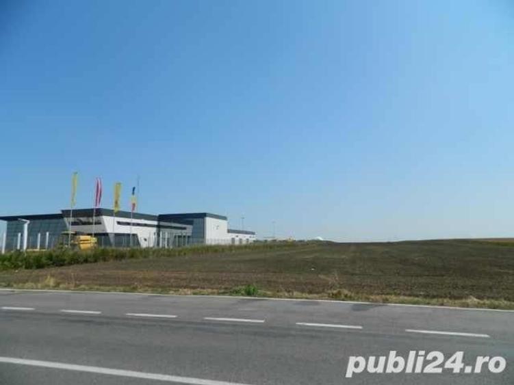 Teren de 30000 mp, în Dragalina