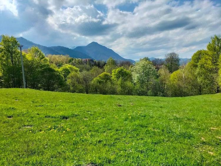 Teren de vanzare Bran 5km aprox Zarne?ti 5km aprox - 1