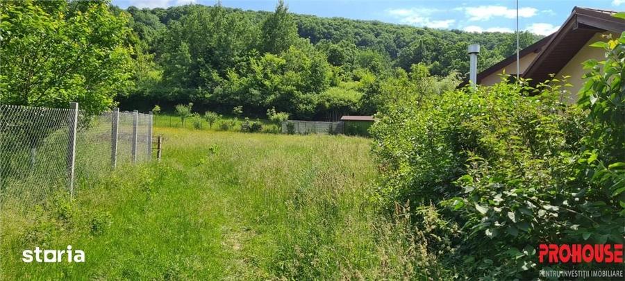 Teren de 2033 mp, în Mărgineni