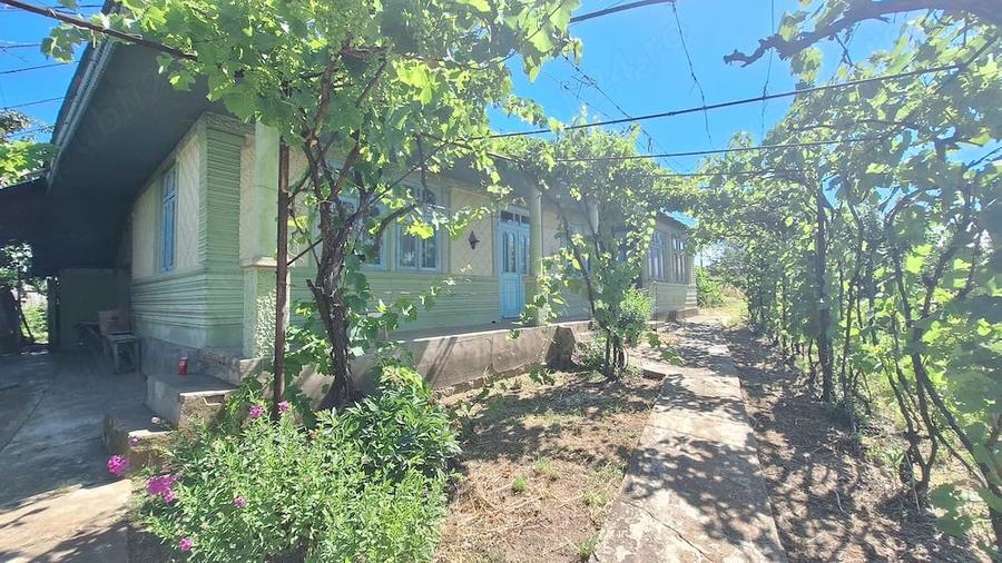 Casă cu Teren 2500 Mp în Gohor