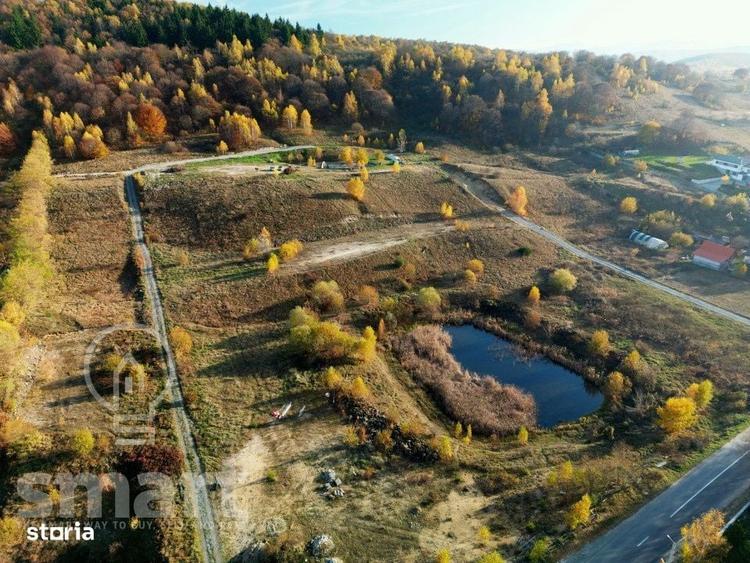 Spațiu comercial, în Sălicea