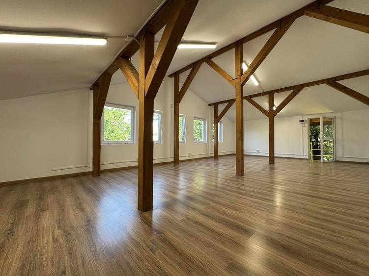 Spațiu comercial, de 200 mp, în Smârdan
