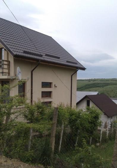 Casă cu 4 camere în Vișan