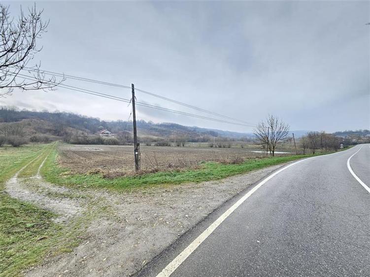 Teren agricol extravilan de 3500 mp, în Grigoreni