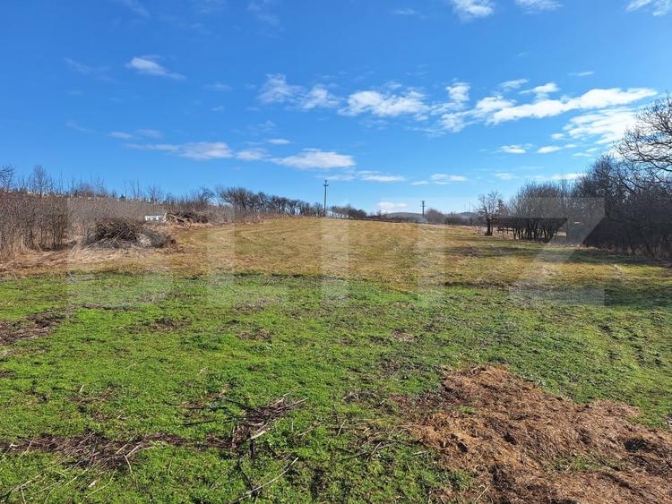 Teren Construcții intravilan de 4400 mp, în Săliștea Nouă