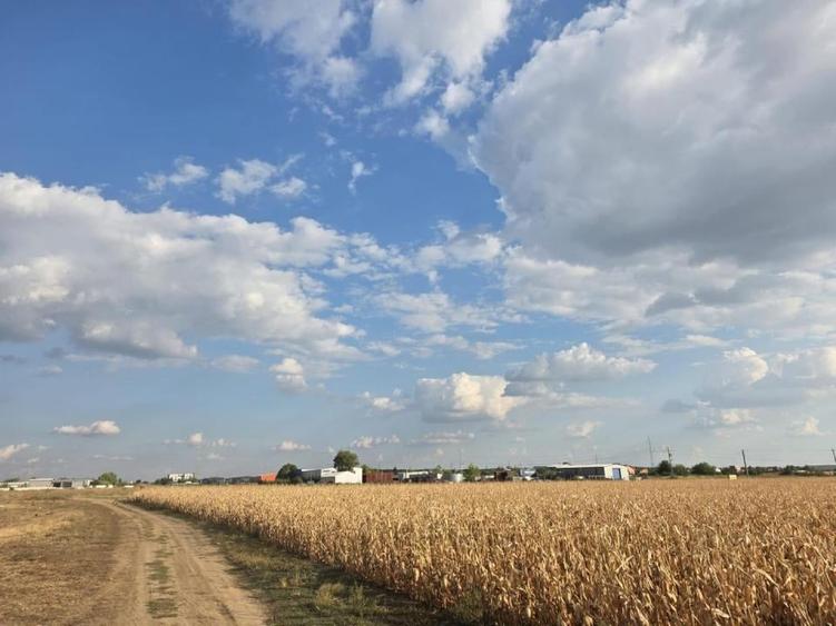 Teren intravilan în Nord-Est