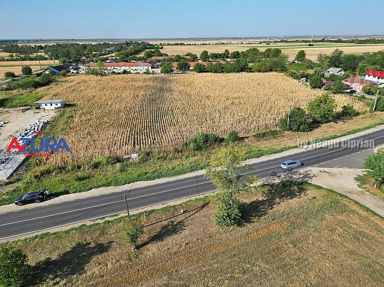 Teren Construcții intravilan de 7976 mp, în Crângurile