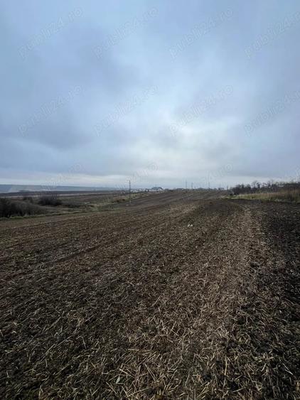 Teren de 23400 mp, în Central