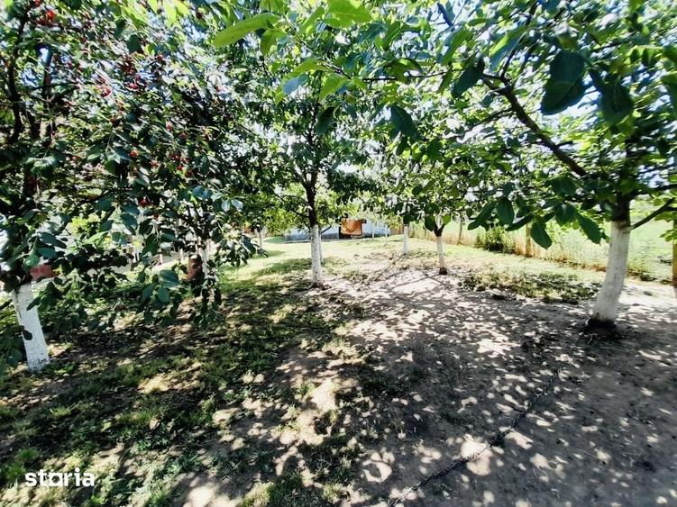 Casă cu 2 camere cu Teren 2870 Mp în Sântandrei