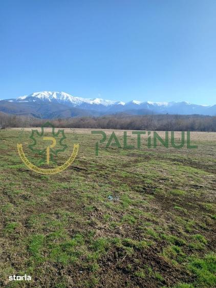 Teren de 1737 mp, în Chirpăr