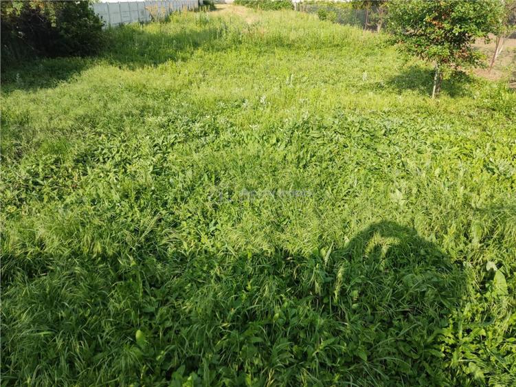 Teren de 2000 mp, în Central