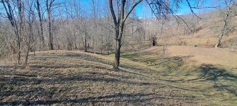 Teren agricol intravilan de 2142 mp, în Podul Lung
