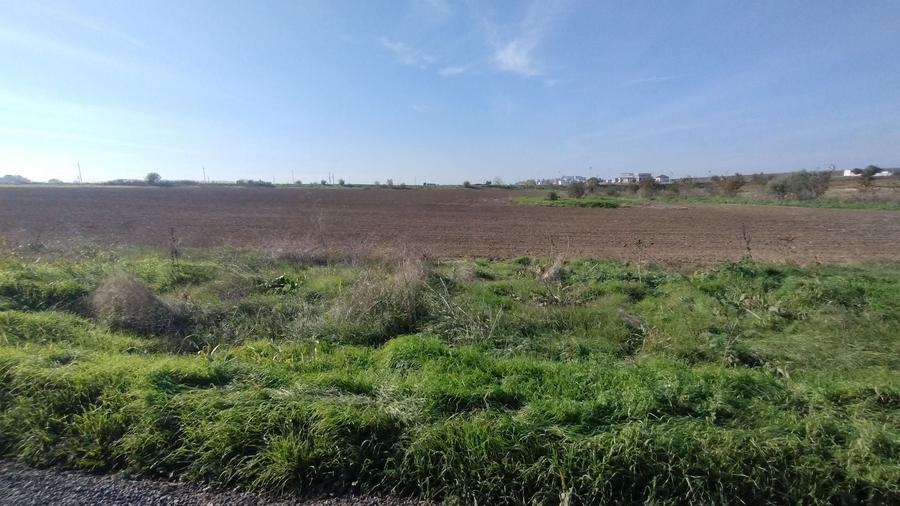 Teren Construcții intravilan de 5000 mp, în Exterior Nord