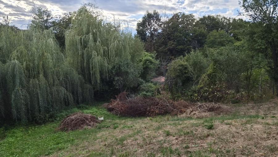 Teren Construcții intravilan de 605 mp, în Goranu