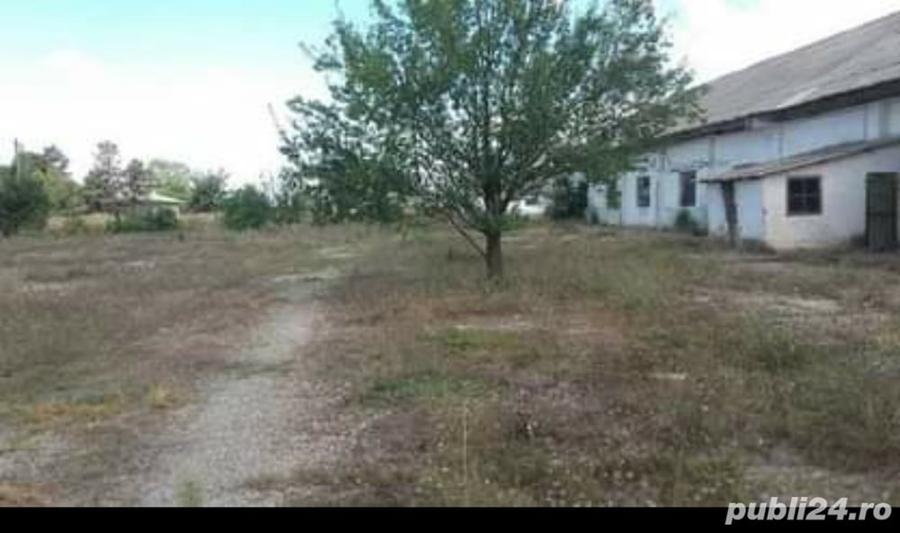 Spațiu comercial, de 8,438 mp, în Cobadin