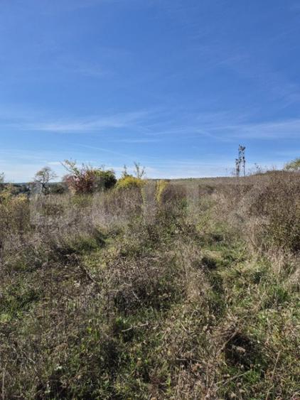 Parcela 12000 mp teren intravilan de vanzare in Livezeni - 1