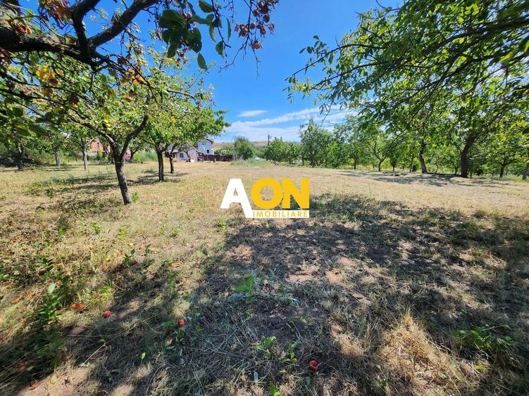 Teren Construcții intravilan de 10651 mp, în Oarda