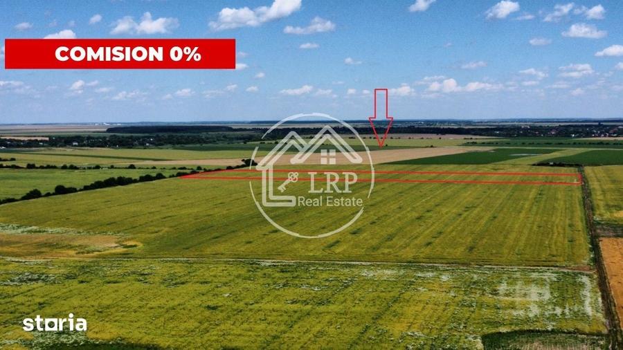 Teren de 20000 mp, în Dascălu