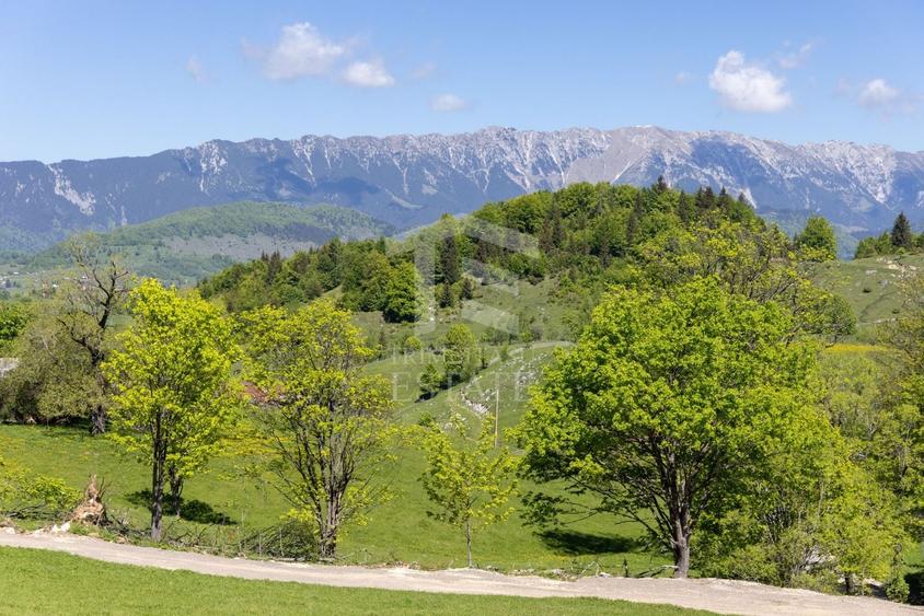 Teren Construcții intravilan de 15771 mp, în Fundata