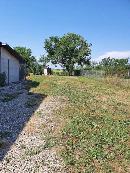 Teren de 1000 mp, în Poienarii Burchii