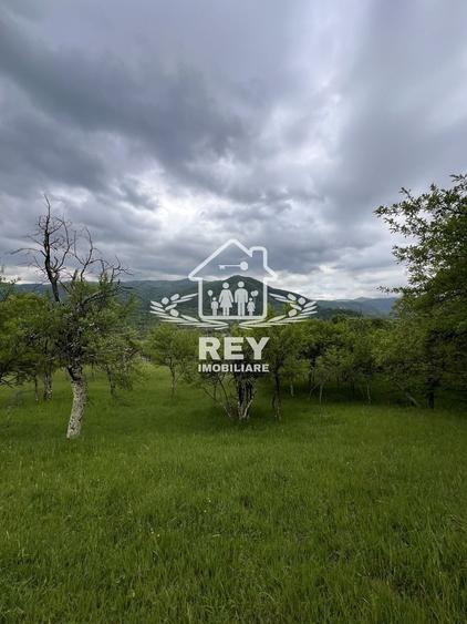 Teren Construcții intravilan de 5217 mp, în Cisnădioara
