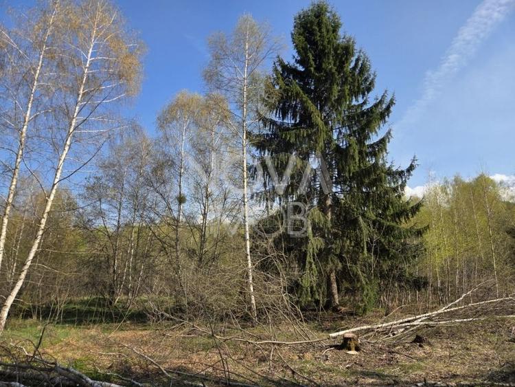 Teren Construcții intravilan de 1000 mp, în Viștișoara