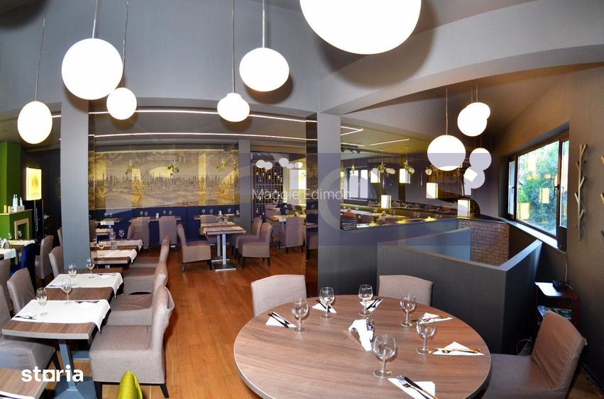 OPORTUNITATE VANZARE VILA RESTAURANT | GRADINA ICOANEI |
