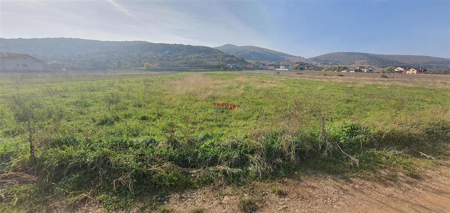 Teren Construcții intravilan de 5738 mp, în Micești