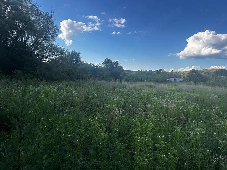 Teren de 2970 mp, în Tauț