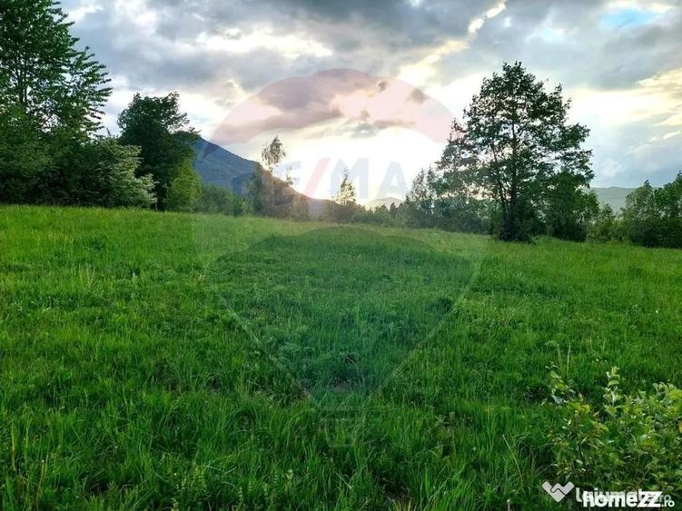 Teren în Tohănița
