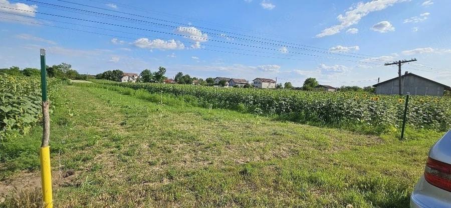 Teren Construcții intravilan de 1000 mp, în Moara Vlăsiei