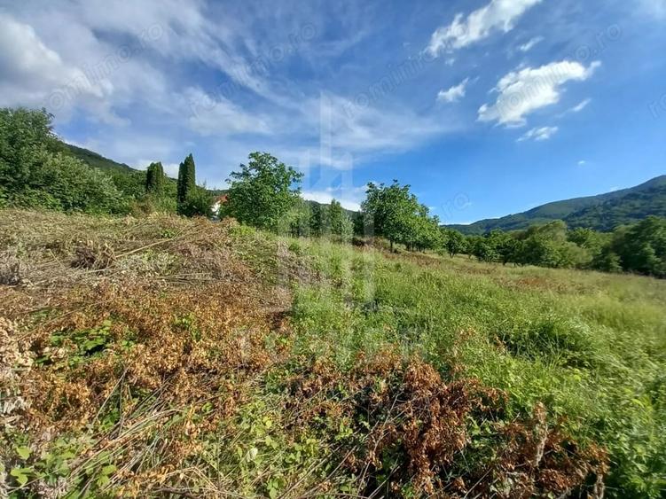 Teren de 3673 mp, în Fântânele