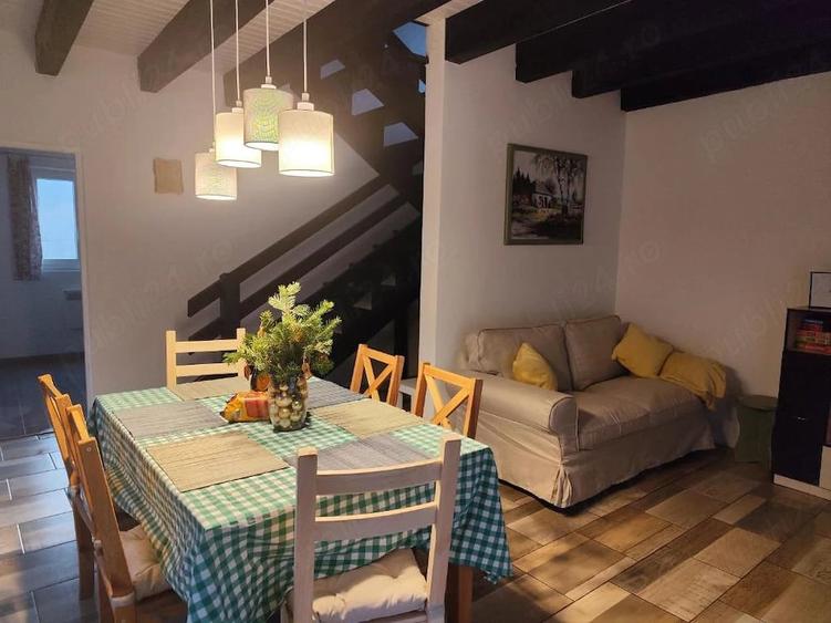Casă cu 3 camere cu Teren 165 Mp în Sasca Montană