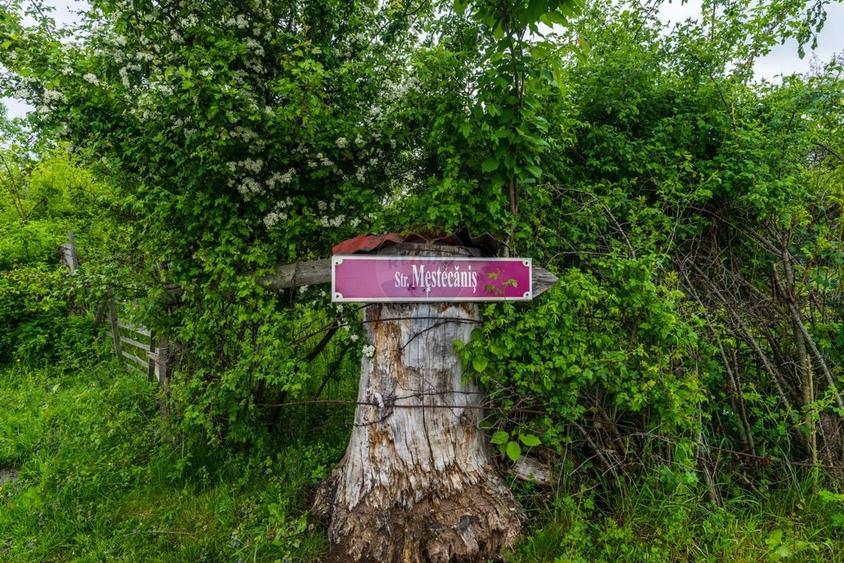 Teren Construcții intravilan de 6900 mp, în Bran