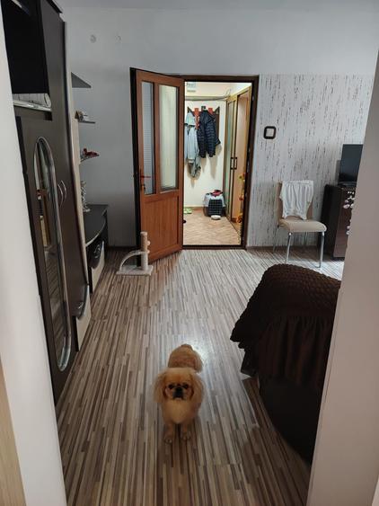 Apartament cu 2 camere decomandat în Berca