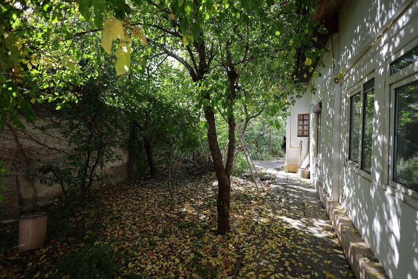 Teren Construcții intravilan de 339 mp, în Dămăroaia