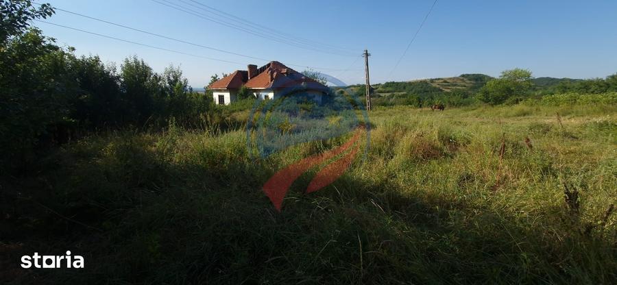 Teren 8 227 mp + Casa demolabila de vanzare in Filiasi - Fratostita - 10